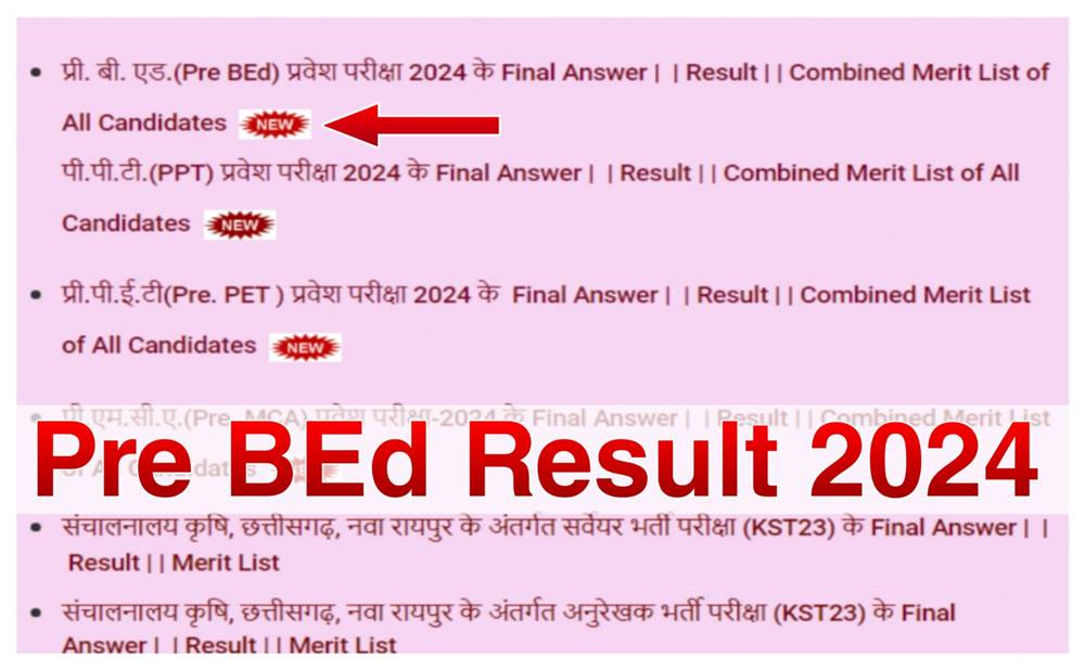 CG Pre BEd Result 2024